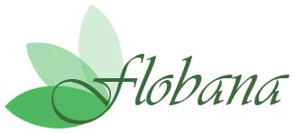logotipo de flobana