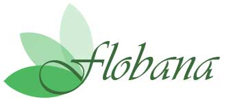 logotipo de flobana